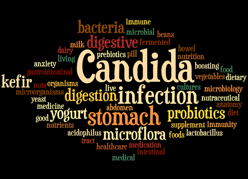 Candida, word cloud concept on black background.