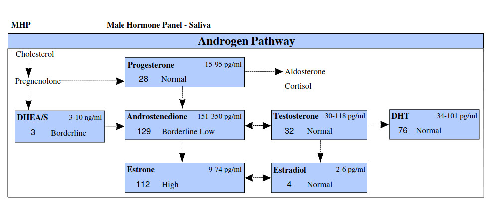 Flow chart of androgens. DHEA to androstedione to testosterone and finally dht. Testosterone may also be convereted into estrogen