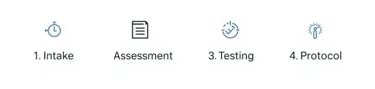 Flow chart. Assessment, intake, testing, protocol.