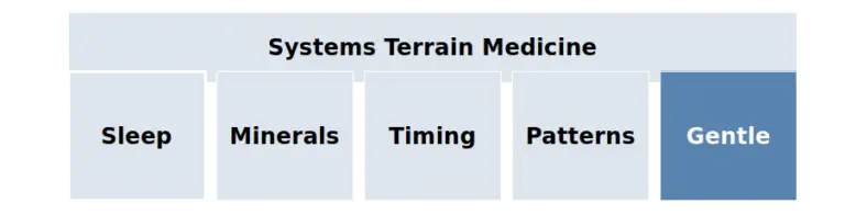 Systems Terrain Medicine framework showing sleep, minerals, timing, patterns, and gentle care