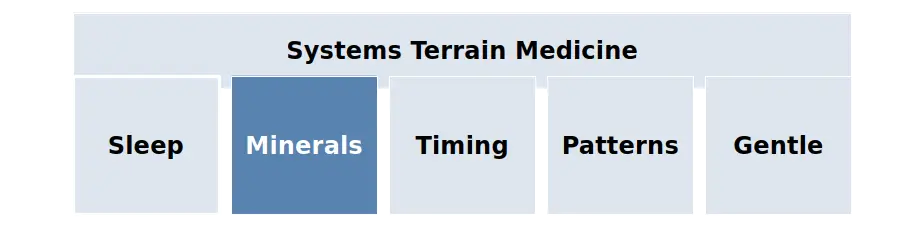 Systems Terrain Medicine framework showing sleep, minerals, timing, patterns, and gentle care