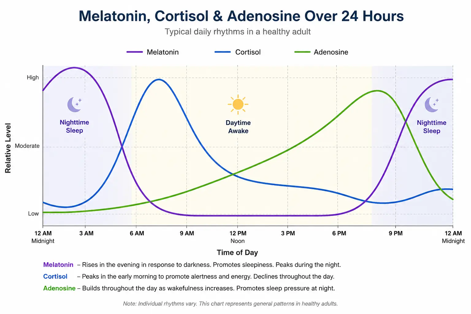 Chart showing melatonin, cortisol, and adenosine levels over a 24-hour sleep-wake cycle
